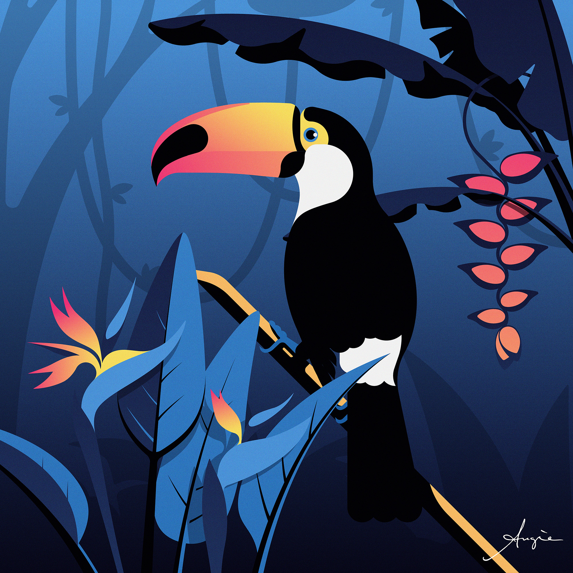 Illustration - Bird of Paradise Illustration - Bird of Paradise