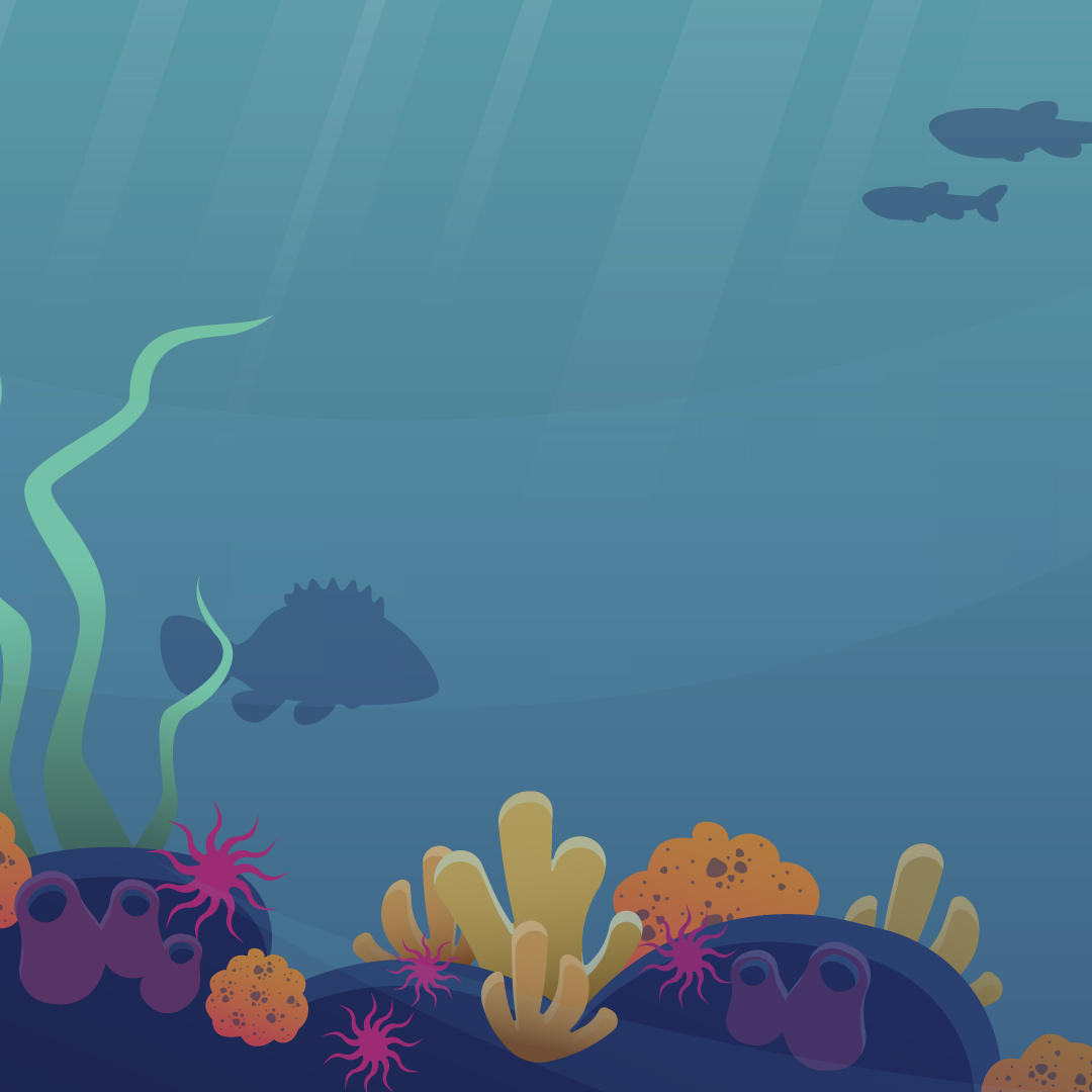 Deep Divers, Digital Assets for Animation Deep Divers, Digital Assets for Animation