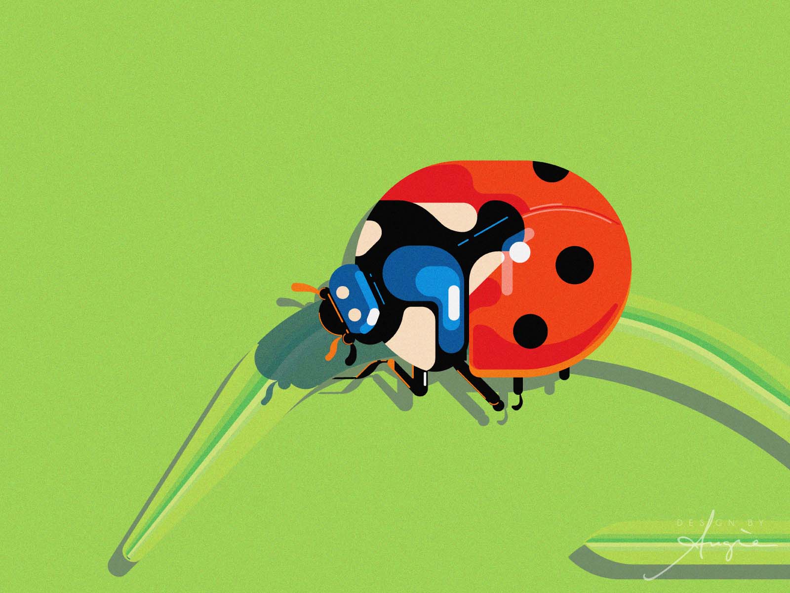 The Ladybug The Ladybug