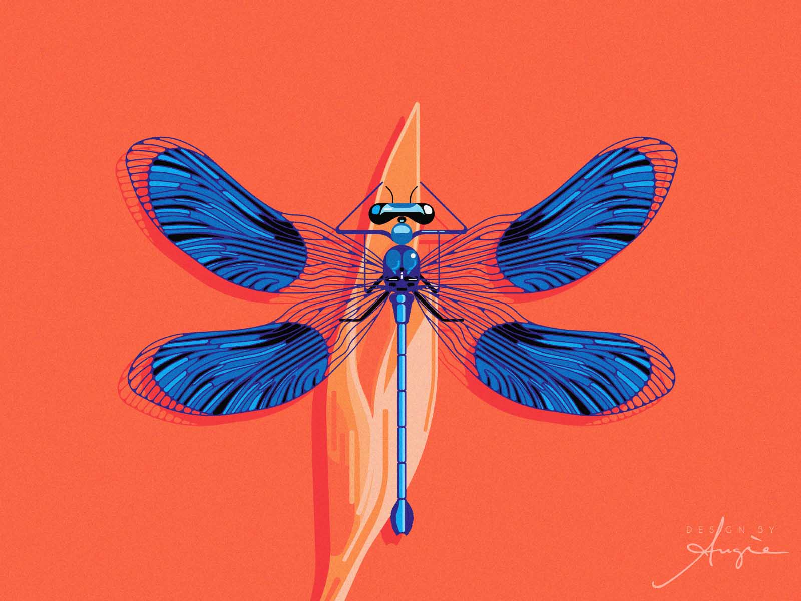 The Firefly The Firefly