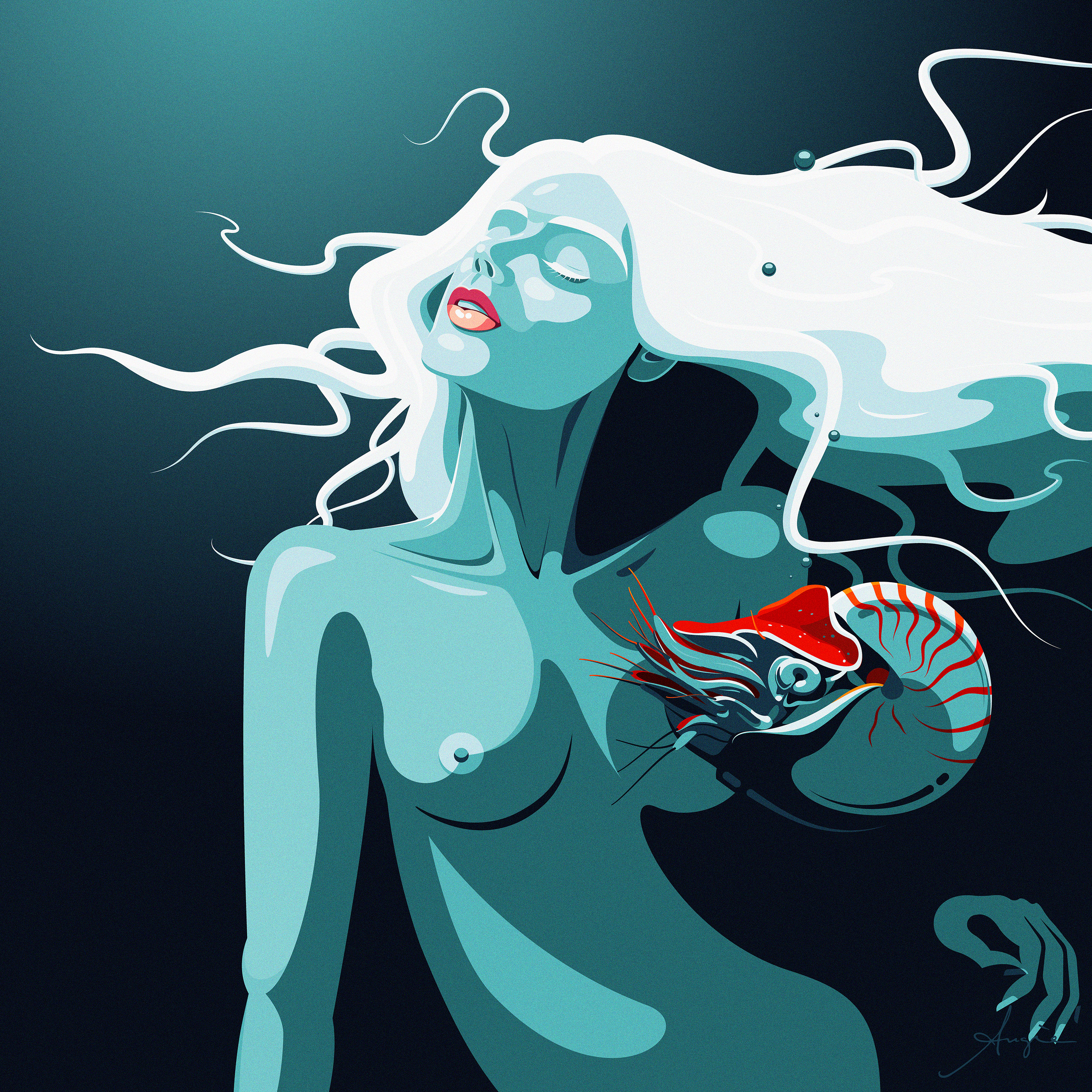 Deep in the Blue series - Nautilus Deep in the Blue series - Nautilus