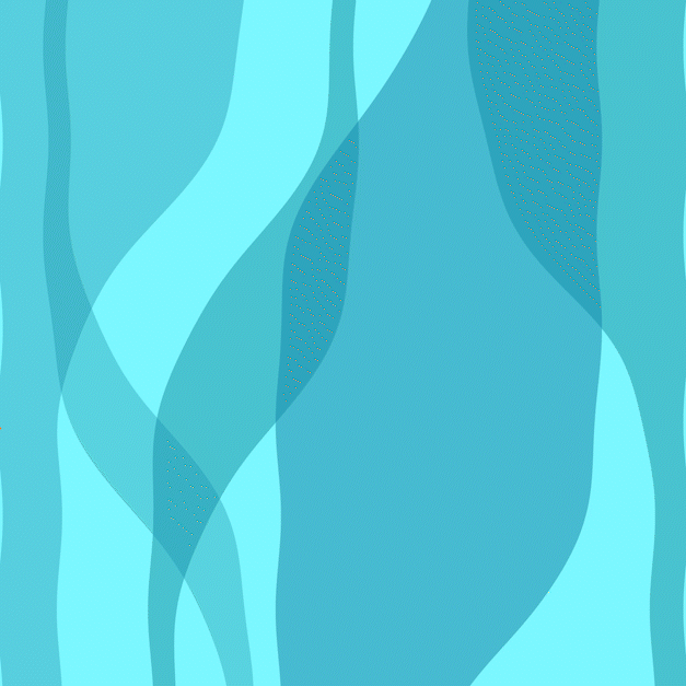 Seahorse Seahorse